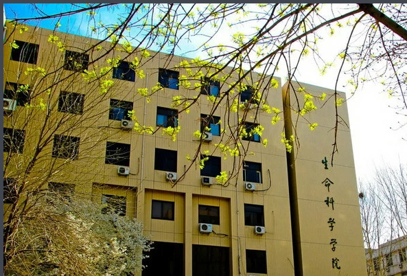 （2006年）山東大學(xué)生命科學(xué)院實(shí)驗(yàn)樓  